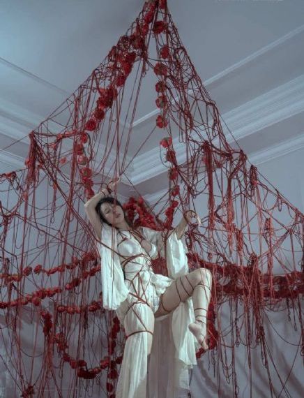 女士的品格电视剧