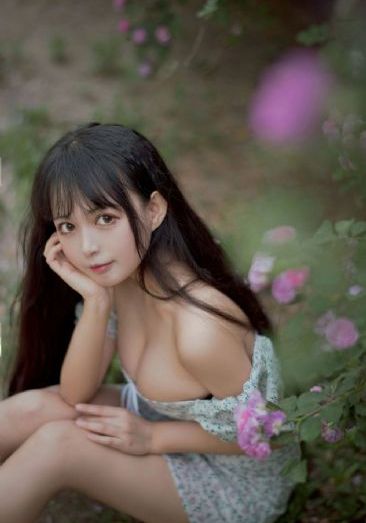 度年华电视剧免费观看