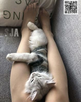 《女员工的滋味》2