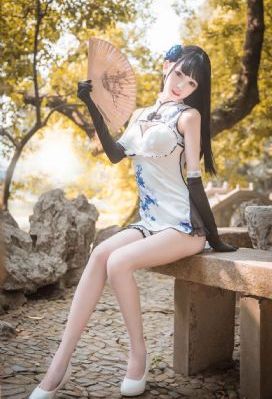 x女特工 电视剧