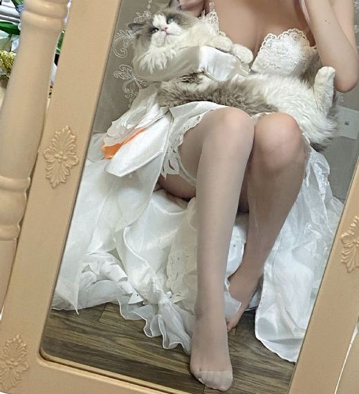 星辰视频高清在线观看免费