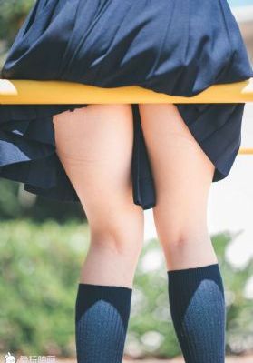 青天衙门之龙儿电视剧免费观看