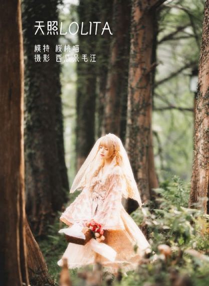 战狼6高清在线观看大牛