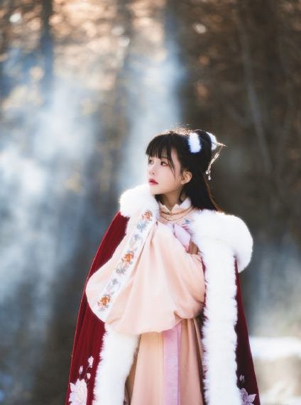 女朋友的妈妈6