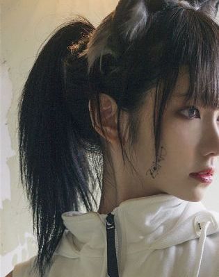 美女视频在线观看免费视频