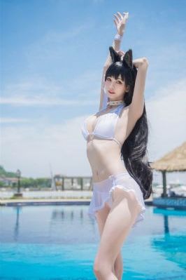 海贼王免费看