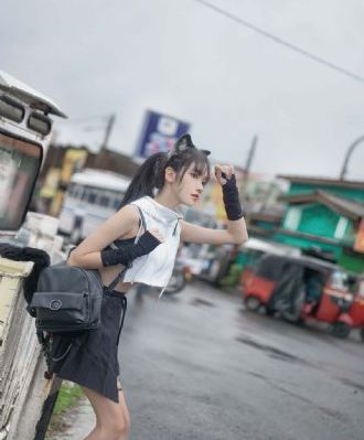 警中警 电视剧